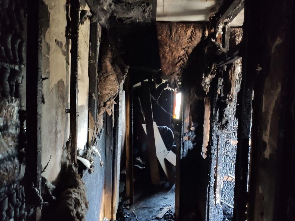 В селе Запорожской области во время пожара едва не погибла беременная женщина (ФОТО)