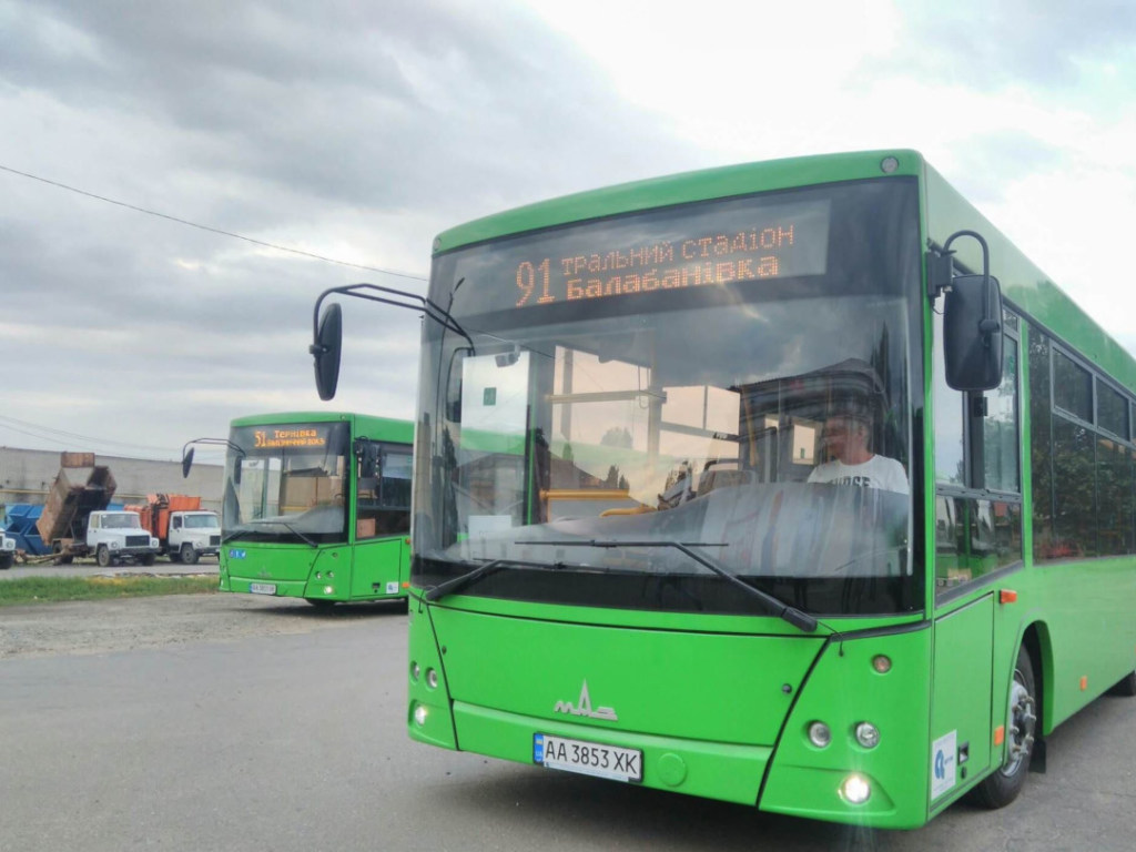 В Запорожье водитель автобуса не обратил внимание на защемленную руку пассажира в дверях (ВИДЕО)