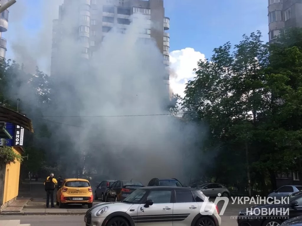 Горели сухие ветки и березы: На «Левобережке» в Киеве возле метро произошел пожар (ФОТО, ВИДЕО)
