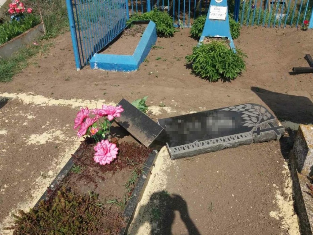 Банда подростков с психически больным мужчиной устроили дикий погром на кладбище под Запорожьем (ФОТО)