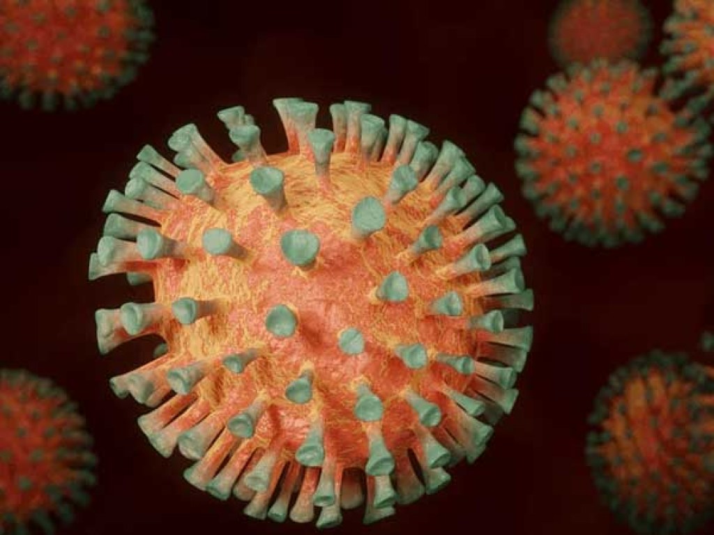 На Закарпатье коронавирус подтвердили у 508 человек