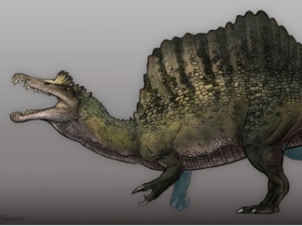 Учёные нашли останки первого водоплавающего динозавра (ФОТО)