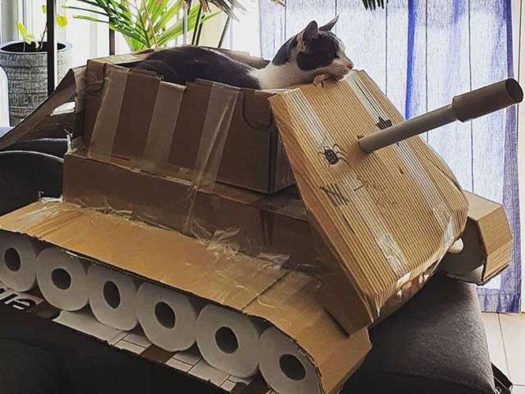 Кот в танке (65 фото)