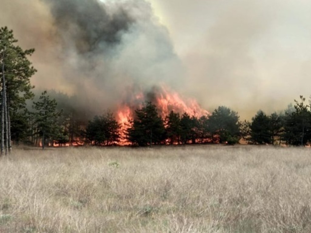 В Зоне отчуждения и Житомирской области продолжают гореть торфяники: огонь частично локализован
