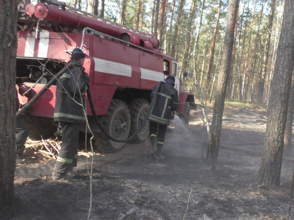 Пожары в Житомирской и Чернобыльской зоне локализовали &#8212; ГСЧС