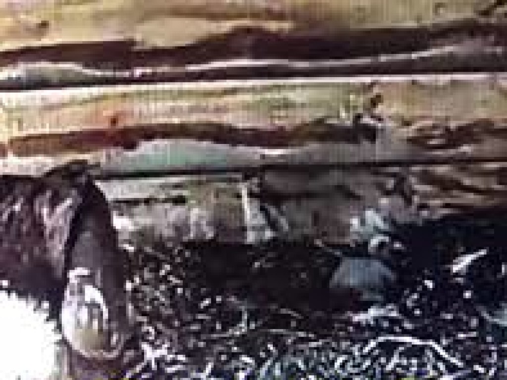 В Бердянском зоопарке появился на свет птенец белоголового сипа (ВИДЕО)