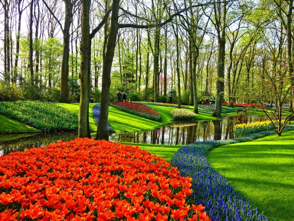 Закрытый на карантин королевский парк цветов в Нидерландах показал новую выставку (ВИДЕО)