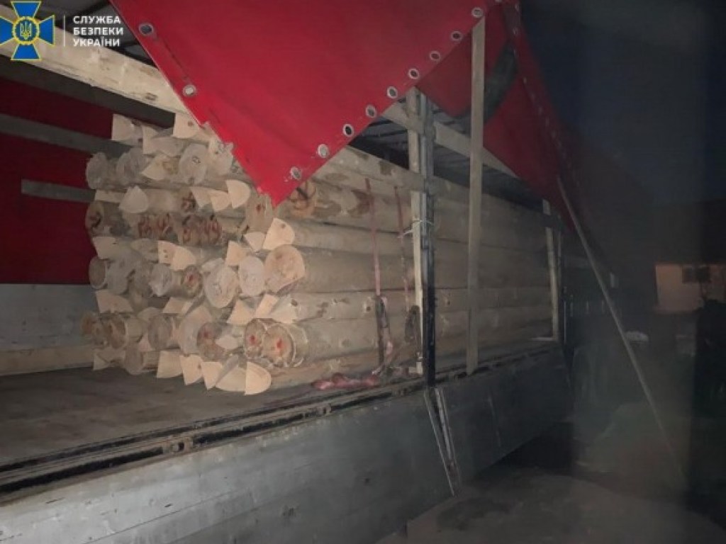 СБУ заблокировала на Закарпатье миллионную схему вывоза древесины в ЕС (ФОТО)