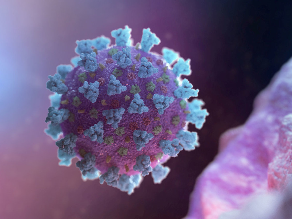 Летом в жаркую погоду коронавирус не исчезнет – исследователи