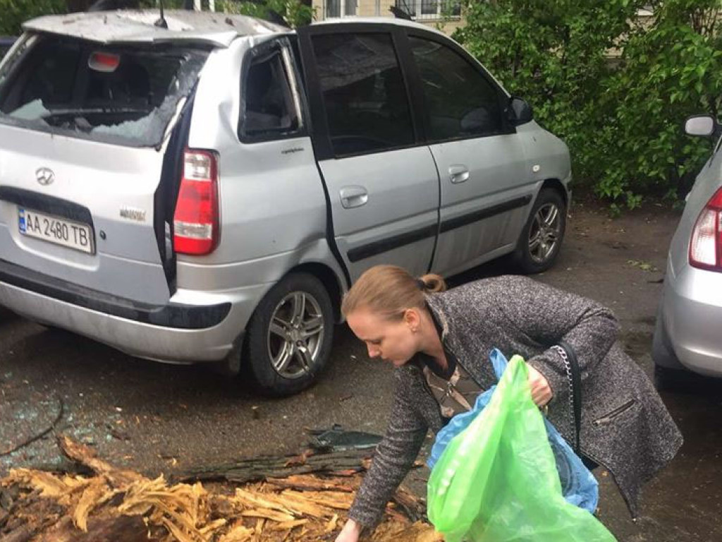 В Киеве старый тополь упал на автомобиль и полностью его уничтожил (ФОТО)