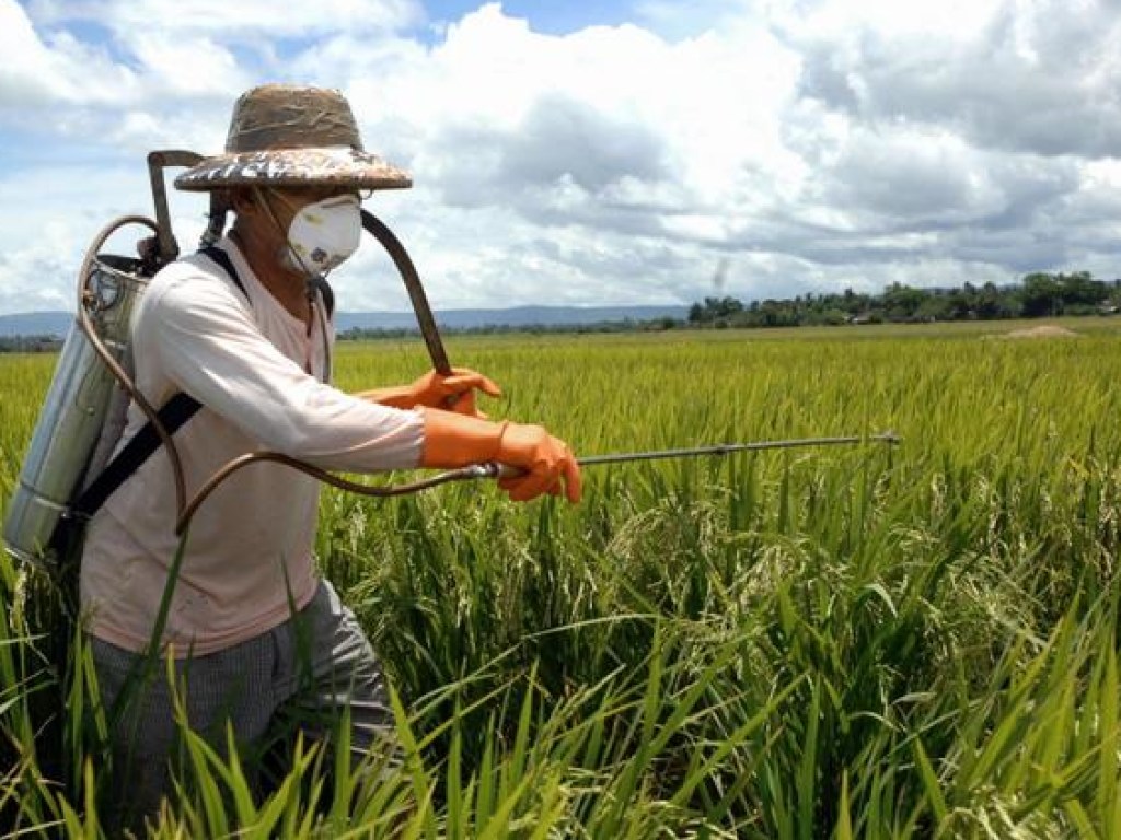 Ученые рассказали о вредном влиянии пестицидов на организм