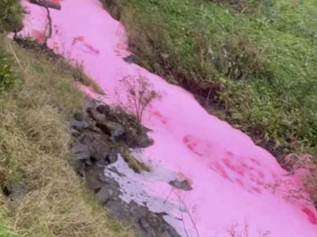 В Австралии река поменяла свой цвет на розовый (ФОТО)