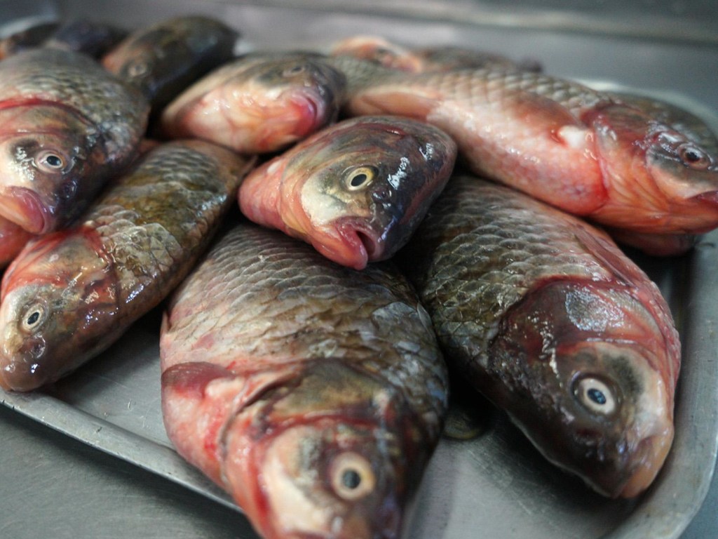 Врачи предупредили о смертельно опасной рыбе, которую не стоит покупать