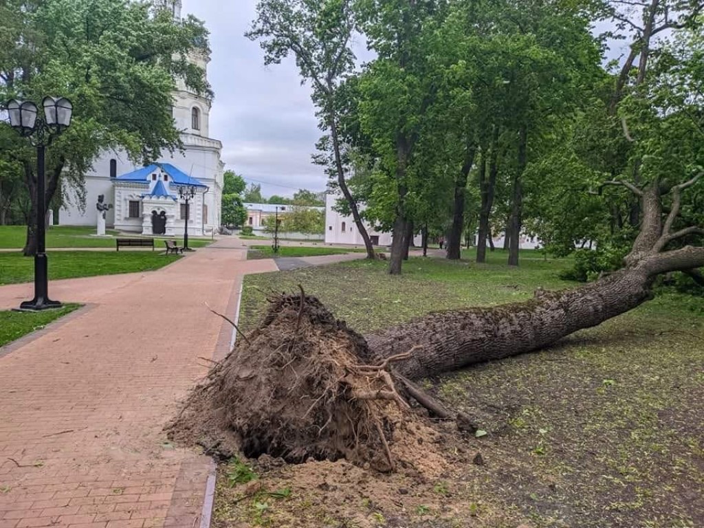 В Украине разбушевался сильный ураган (ФОТО, ВИДЕО)