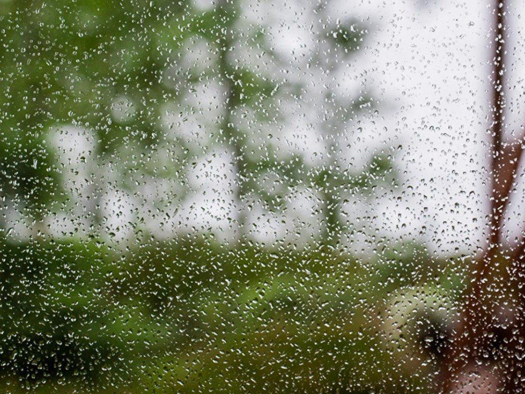 Погода на 17 мая: в Украине пройдут дожди