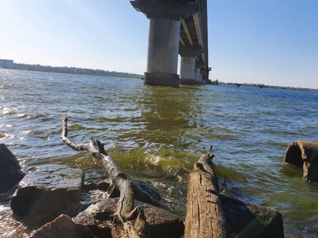 Из ливневки в Николаеве в реку потекли фекалии (ФОТО, ВИДЕО)