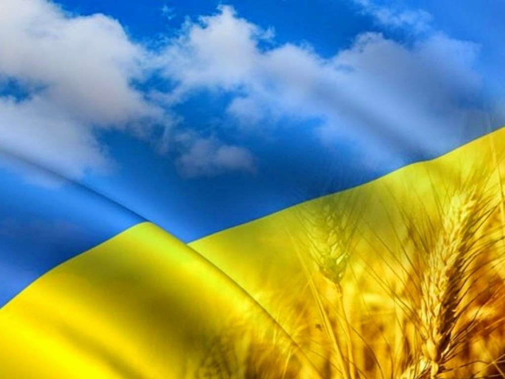 Лица причастные к работе госрезерва в Украине долго не живут – эксперт