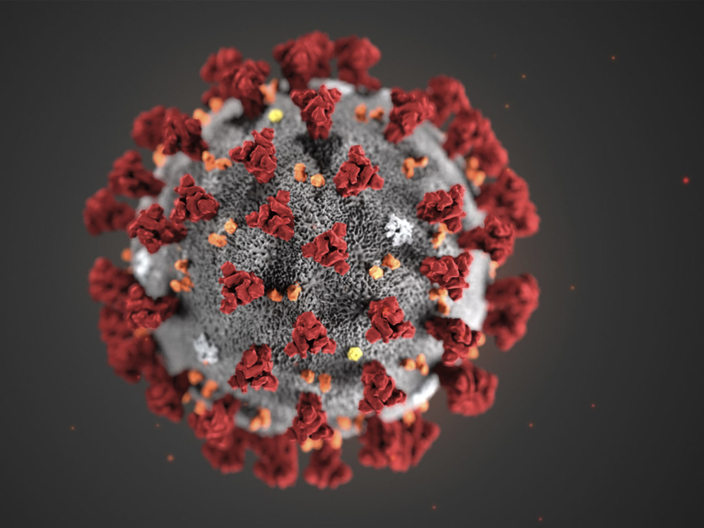 Ученые нашли людей, которым коронавирус нипочем
