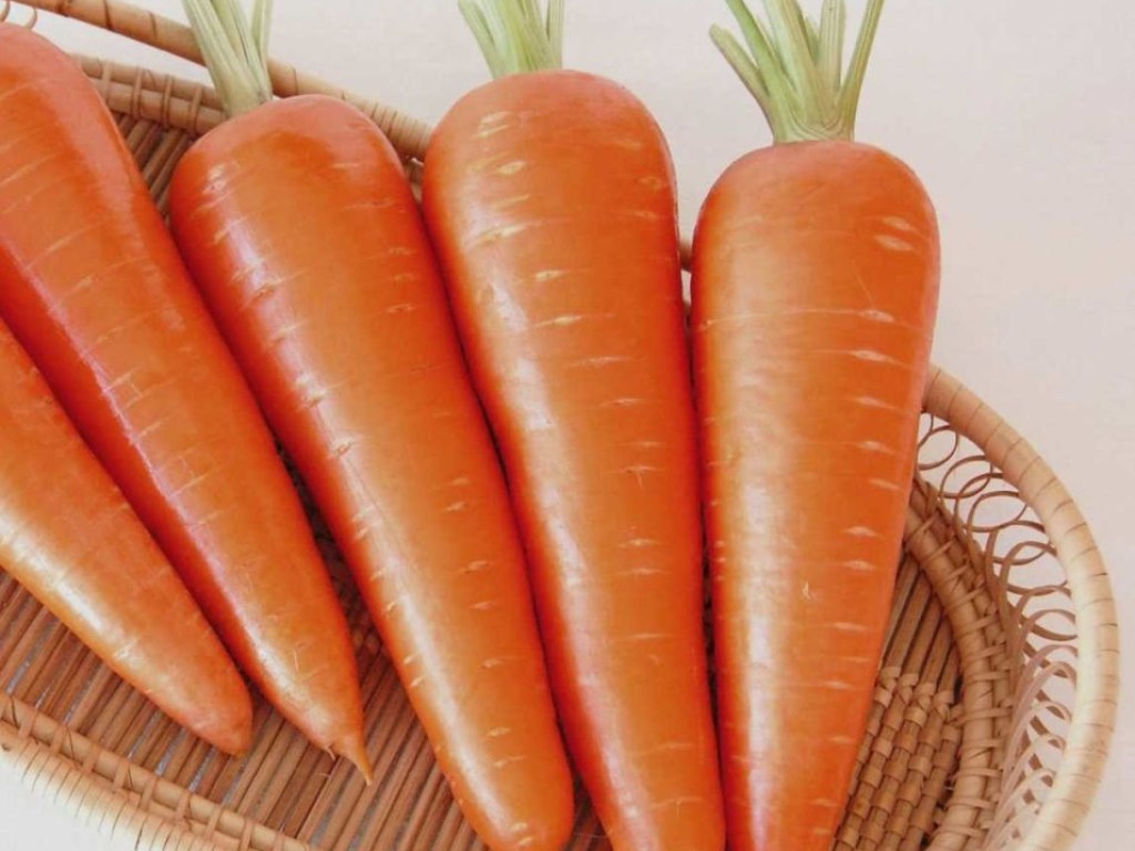 Морковь не всем полезна &#8212; медики