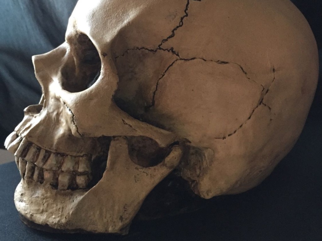 В Днепре в переулке обнаружили человеческий череп