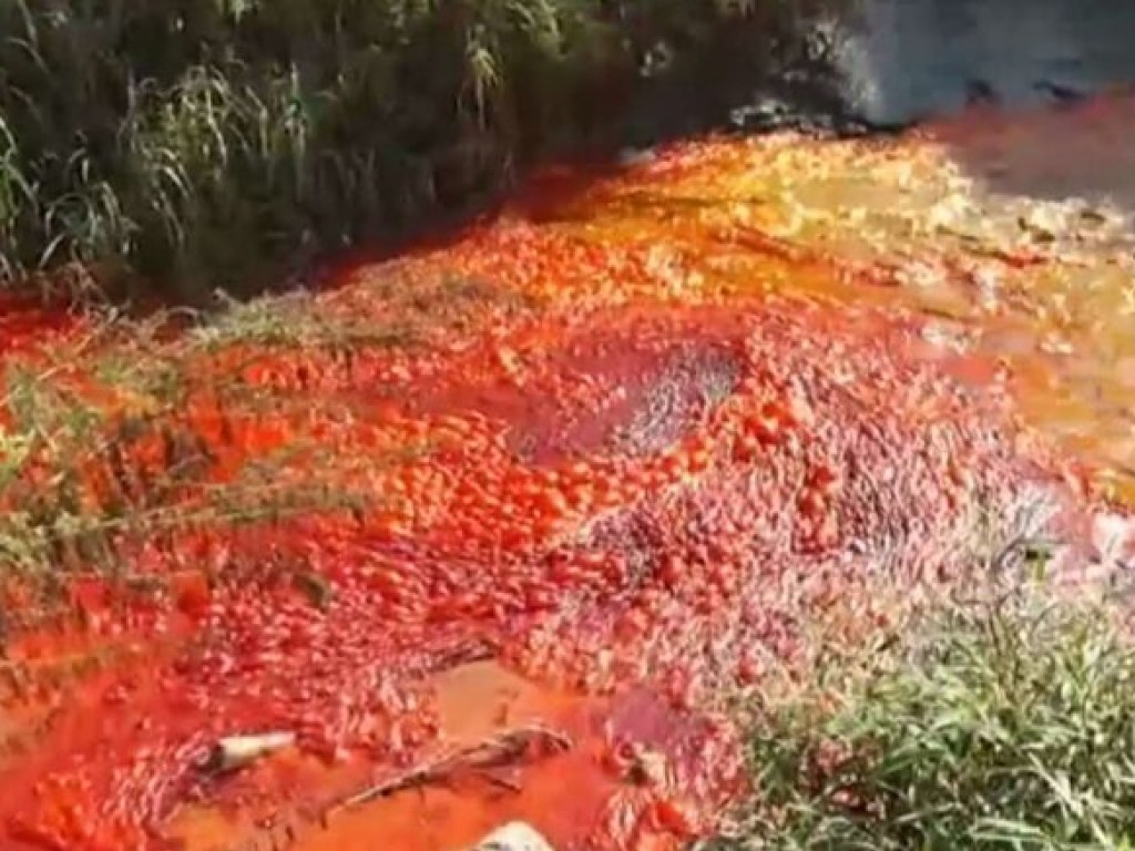 В Израиле река приобрела кроваво красный цвет (ФОТО, ВИДЕО)