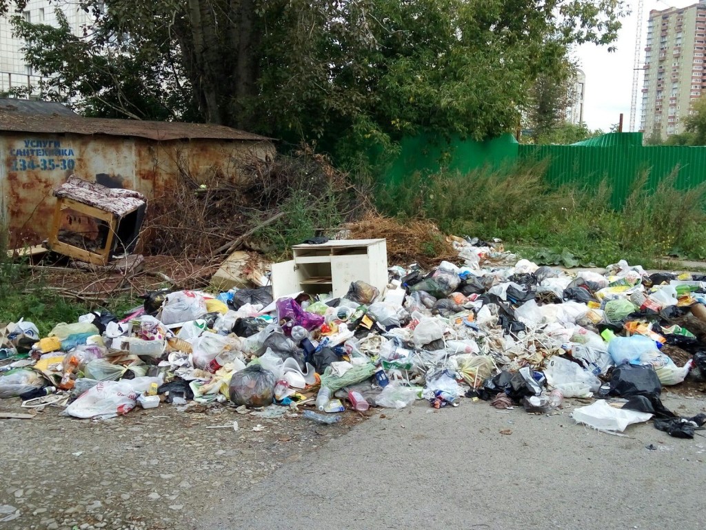 Под Запорожьем на трассе выбросили десятки мешков с останками животных (ФОТО)