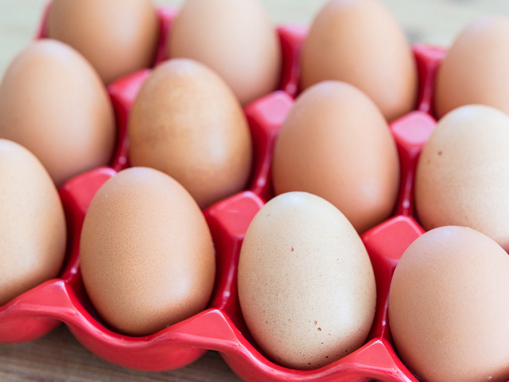 Экономист прокомментировал подорожание куриных яиц в украинских супермаркетах