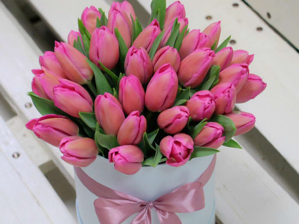 «Ценитель тюльпанов»: Жителю Ровенской области грозит 6 лет тюрьмы за кражу цветов