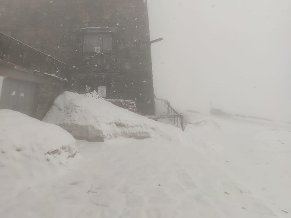 На высокогорье Карпат выпал снег (ФОТО)