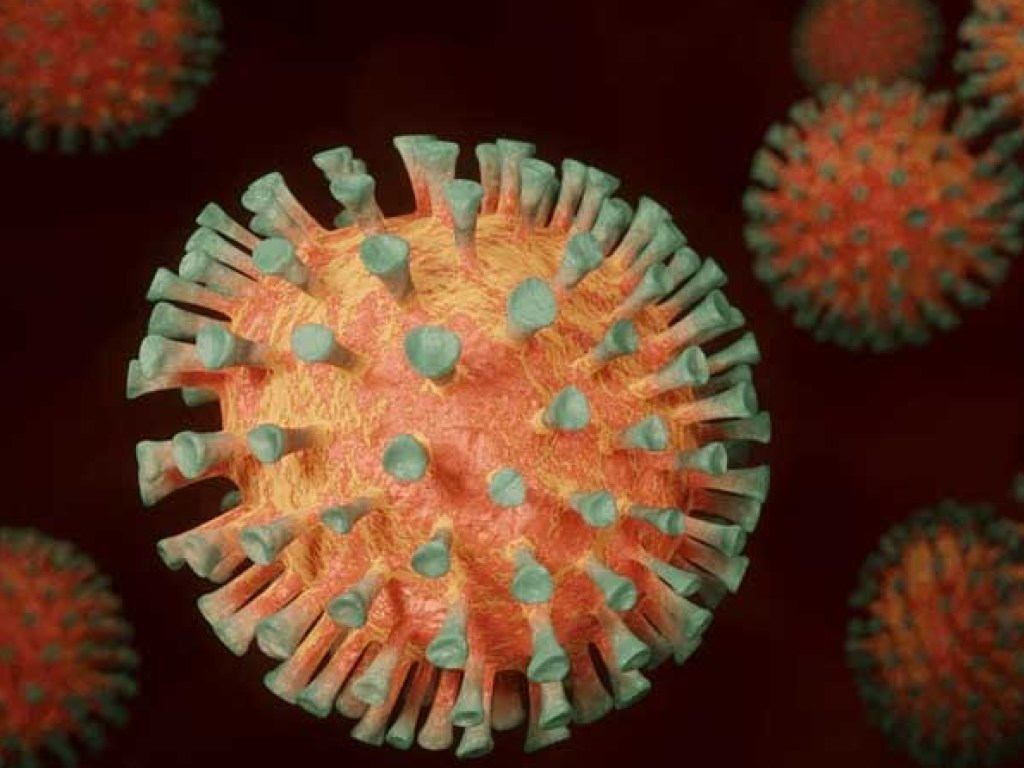 Ученые перечислили, какие органы поражает коронавирусная инфекция