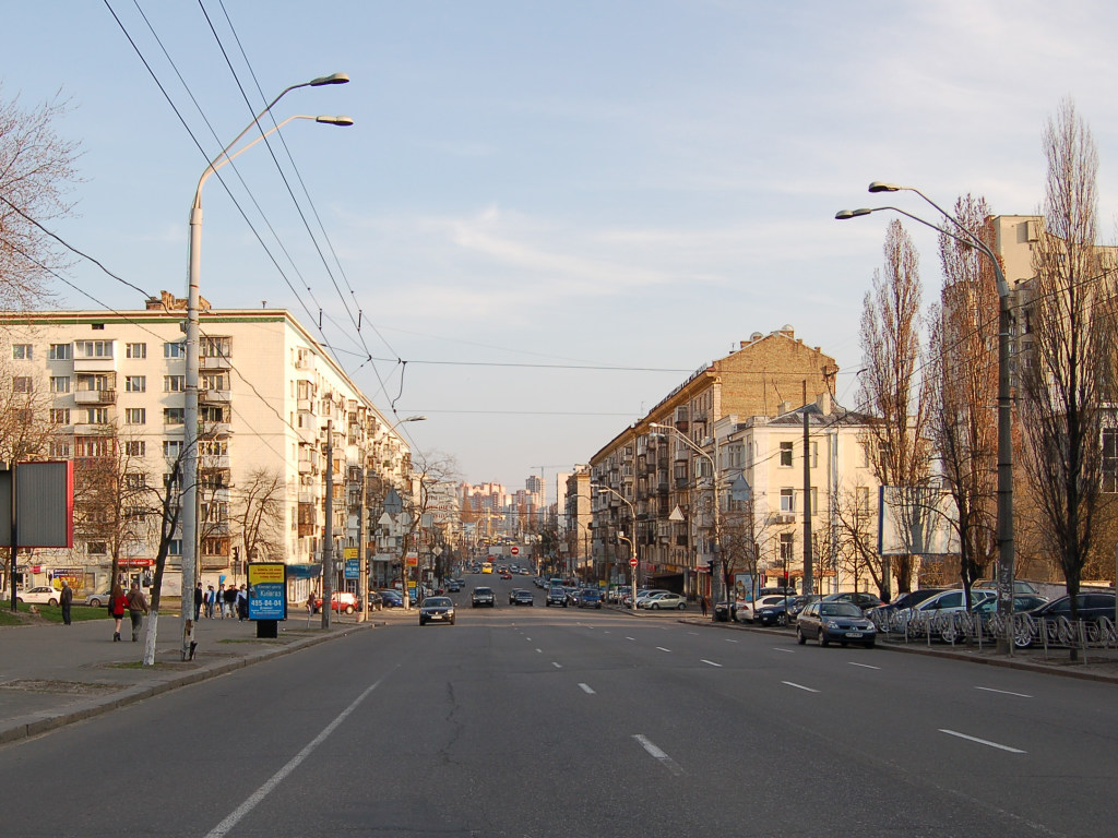 В Киеве около десятка мужчин пробежали по улицам в обнаженном виде (ВИДЕО)
