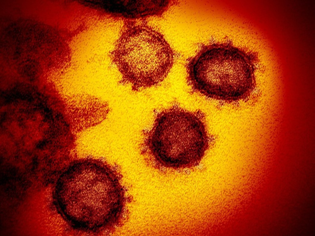 Ученые из Китая установили новый способ передачи коронавируса