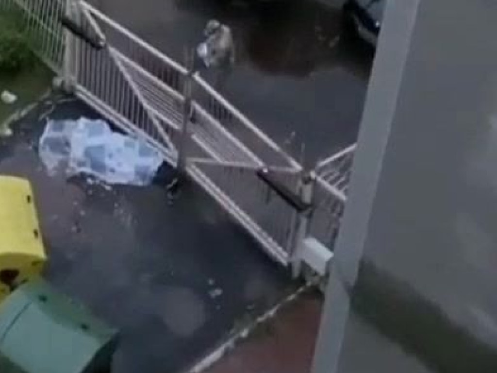 Трагедия в Святошинском районе Киева: из окна 8 этажа выбросился мужчина (ВИДЕО)