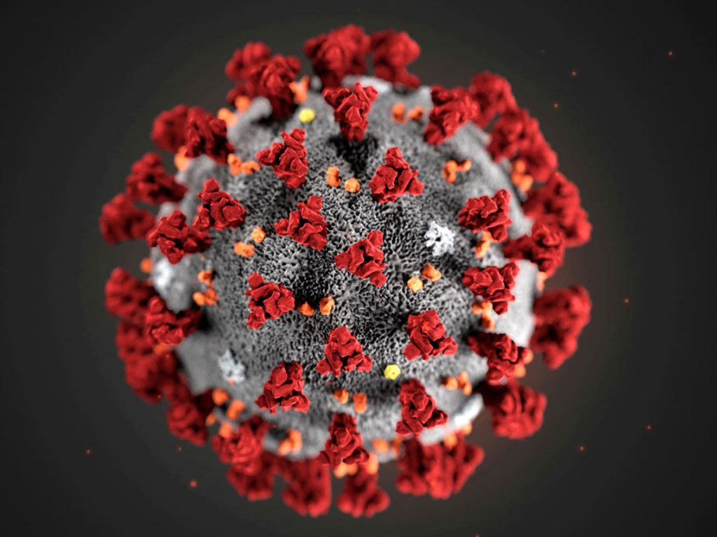 Ученые выяснили, когда произойдет вторая волна коронавируса