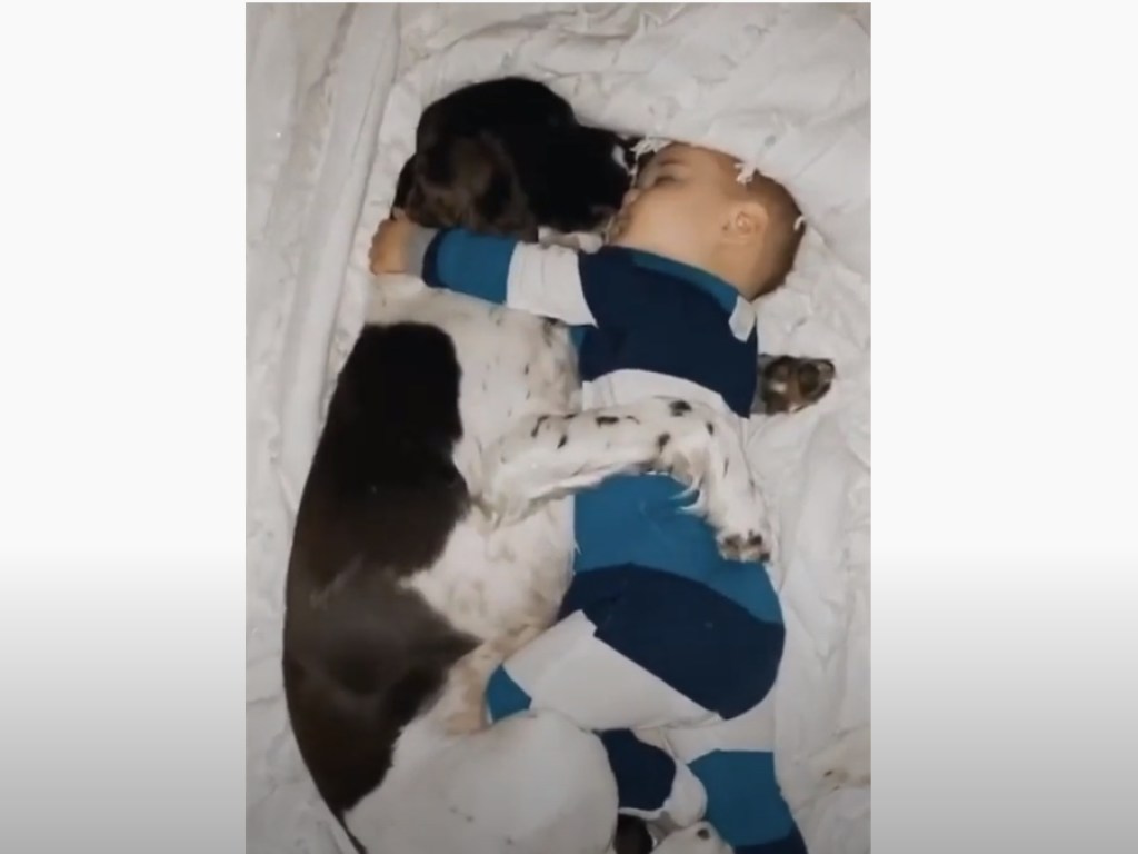Пес и младенец заснули в обнимку: сладкое видео