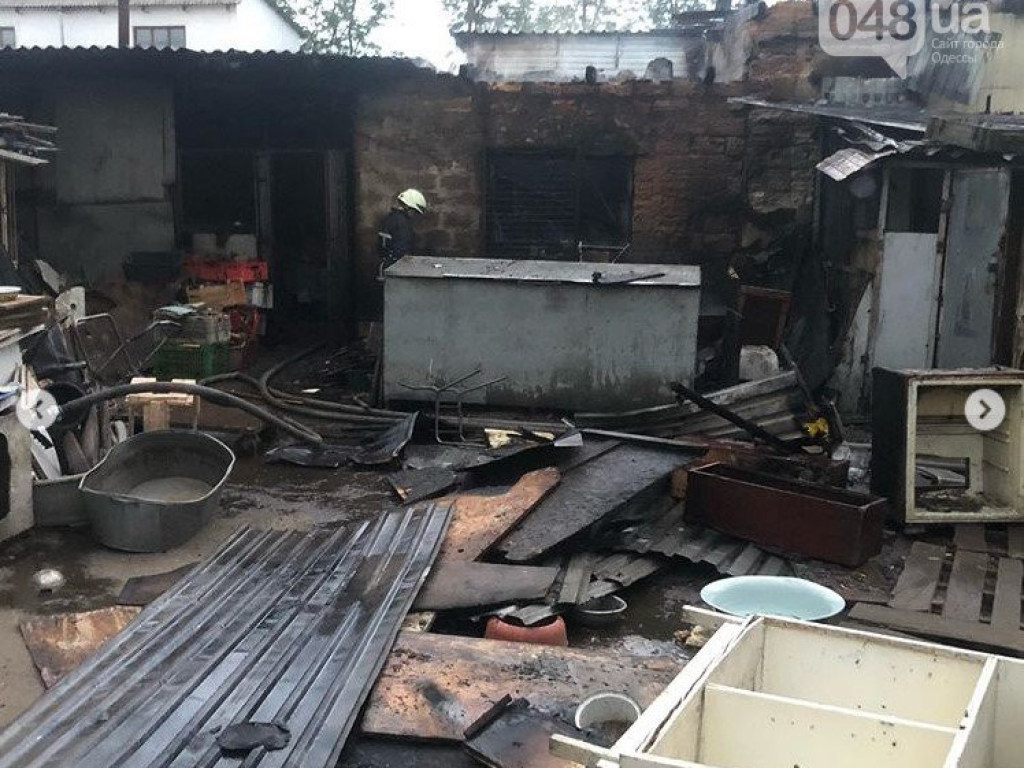Животных из огня вынесла девушка: В Одессе произошел пожар в приюте для животных (ФОТО)