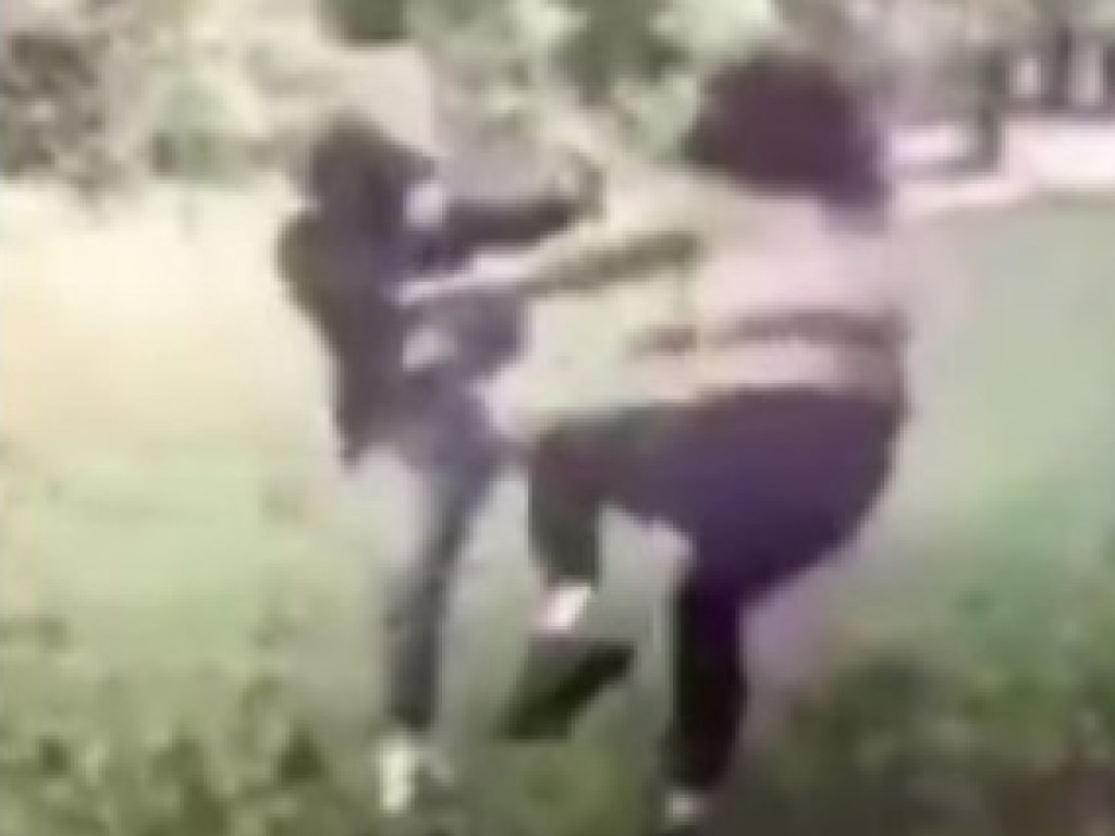 Появилось видео кулачных разборок девушек в парке Киева (ВИДЕО)