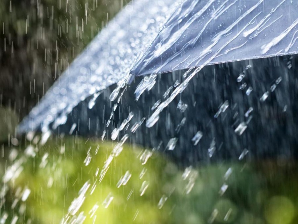 Дожди на западе и на севере Украины: синоптики рассказали о погоде в июне