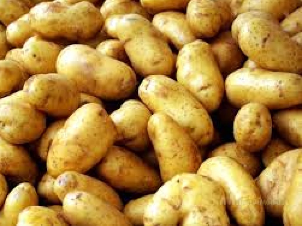 Эксперты рассказали, насколько опасен технический картофель из супермаркетов