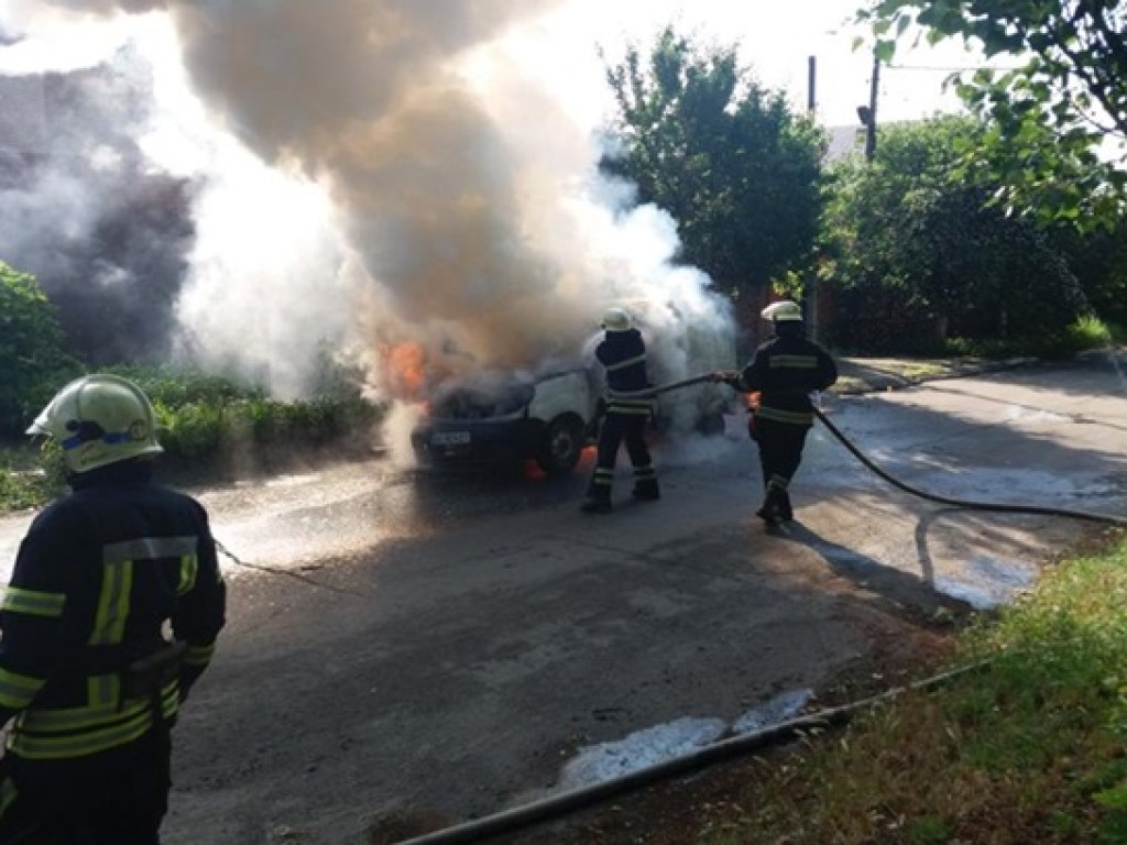 В Никополе на ходу загорелся Renault – водитель погиб (ФОТО)