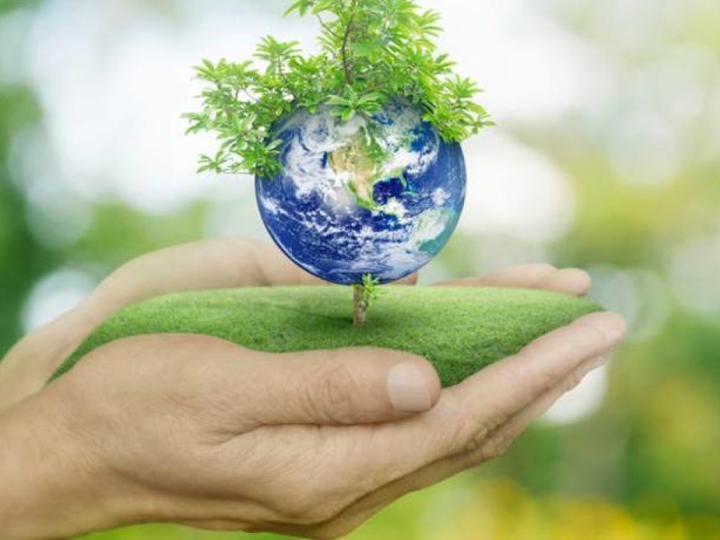 5 июня &#8212; Всемирный день окружающей среды (День эколога)