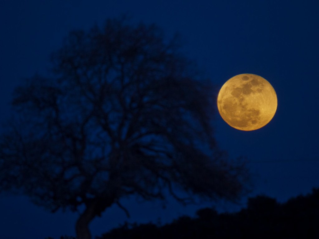 Лунное затмение 5 июня: сегодня спутник Земли приобретет необычный цвет  