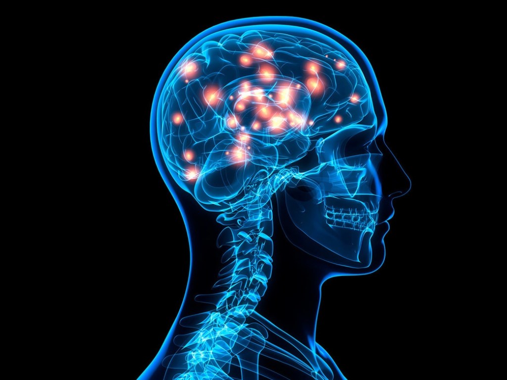Хорошая память и ясное мышление: ученые перечислили три продукта для улучшения работы мозга