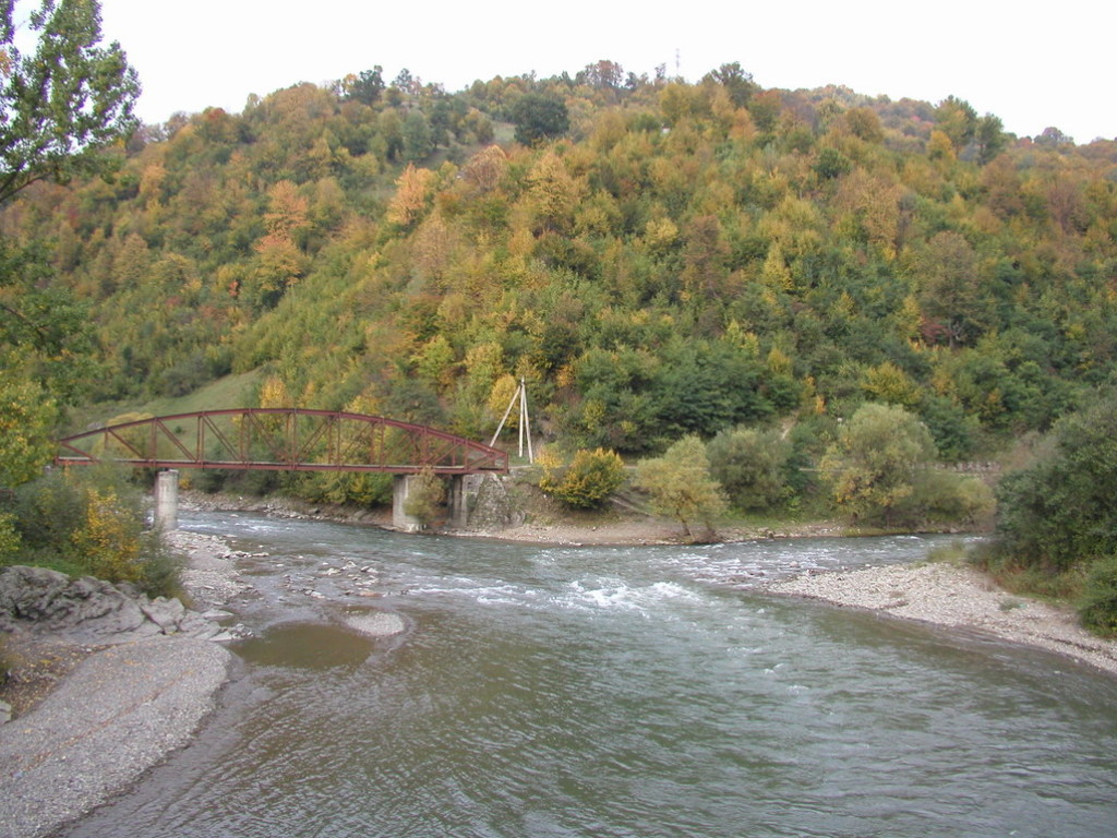 На Закарпатье мужчина прыгнул с моста в реку: течение едва не отнесло его в Венгрию