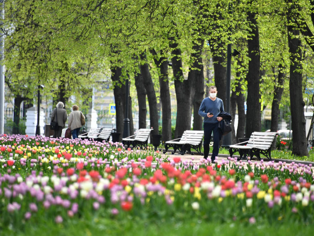 После затянувшейся на 3 недели весны в Киеве началось метеорологическое лето