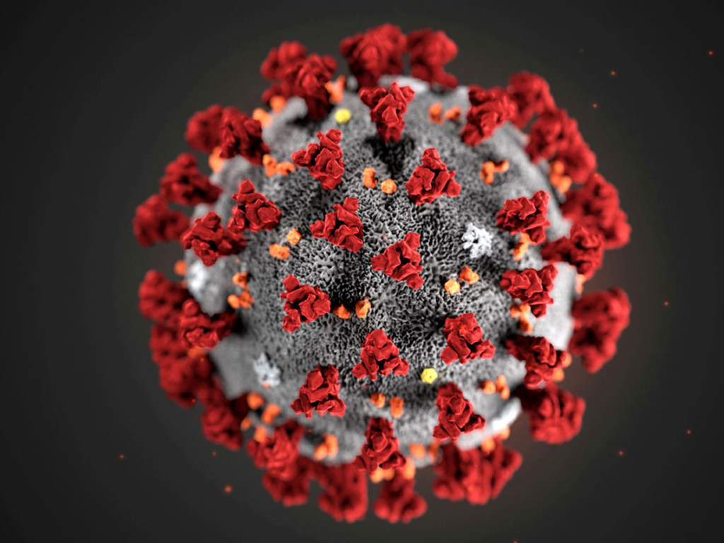 На Закарпатье за сутки выявили 64 случая заболевания коронавирусом