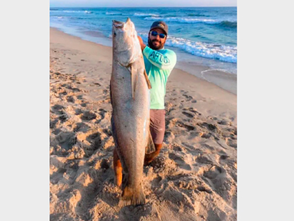 Мексиканский рыбак вытащил из океана самого большого горбыля за 67 лет (ФОТО)