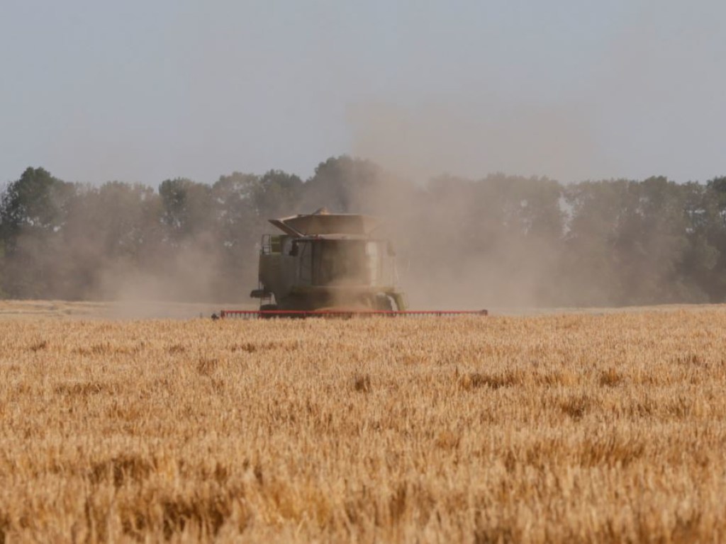 А. Буюкли: «В Украине нет эффективной транспортной инфраструктуры для наращивания объемов экспорта зерновых»