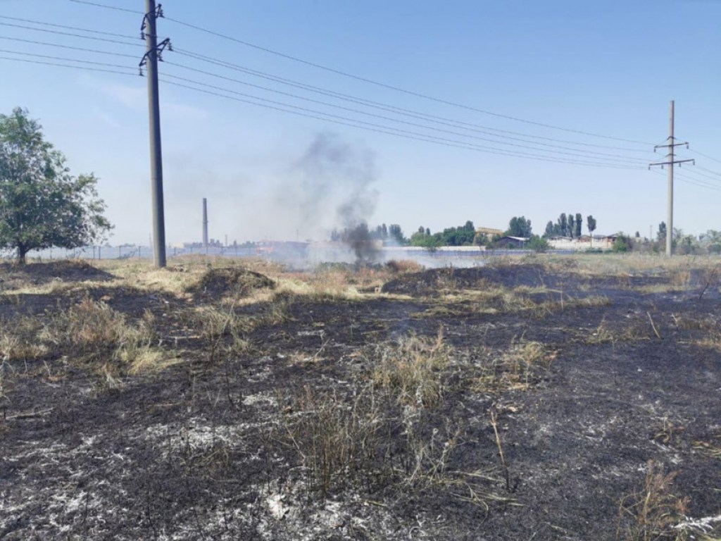 Неизвестные сожгли 9 тысяч квадратных метров сухой травы в Николаеве (ФОТО)
