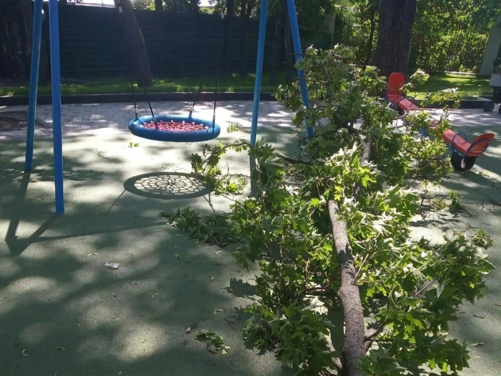 В Харькове на детской площадке упала ветка дерева, ребенка госпитализировали (ВИДЕО)